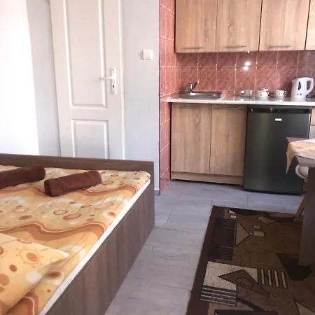 Homestay Aleksander Puck