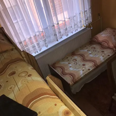 Aleksander Homestay