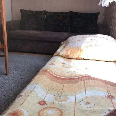 Homestay Aleksander *